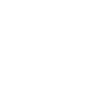 download icon